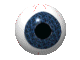 J'vous ai à l'oeil